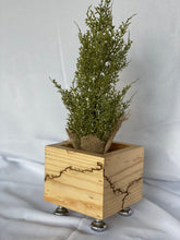 Load image into Gallery viewer, It’s Electrifying