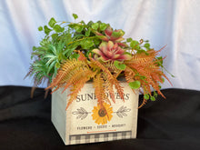 Load image into Gallery viewer, Weathered Sunflowers