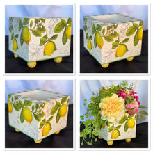 Load image into Gallery viewer, Fresh Squeezed