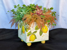 Load image into Gallery viewer, Fresh Squeezed