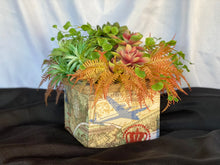 Load image into Gallery viewer, Around the world