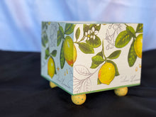 Load image into Gallery viewer, Fresh Squeezed